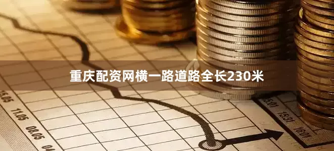 重庆配资网横一路道路全长230米